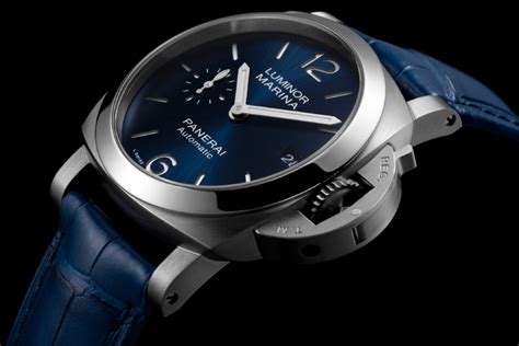 marina rolex falsi